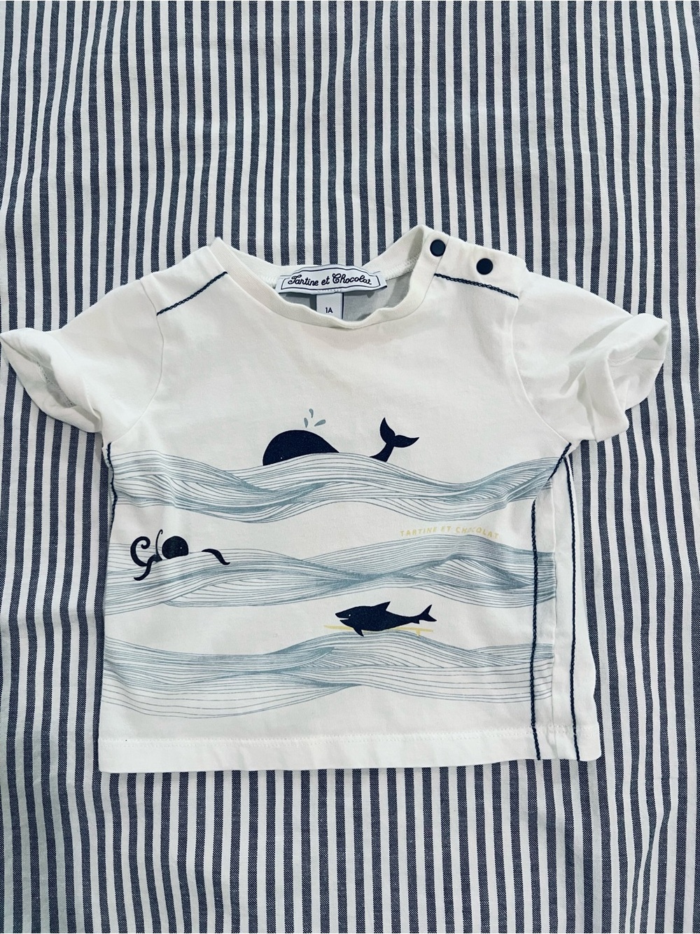Tartine et Chocolat baby t shirt